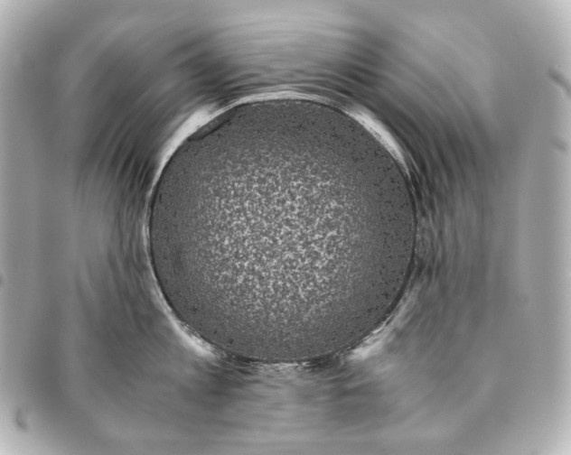 X0000094970813200712201221