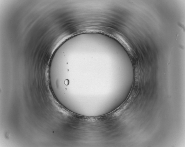 X0000094970814200712201221