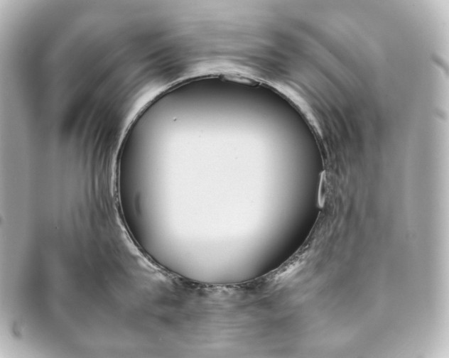 X0000094970815200712201221