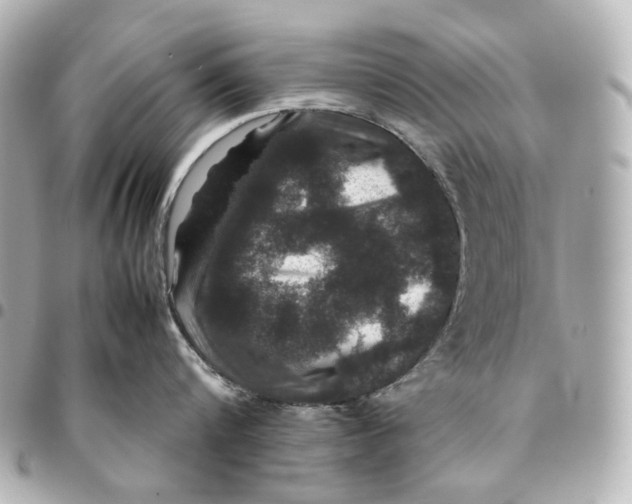 X0000094970816200712201221