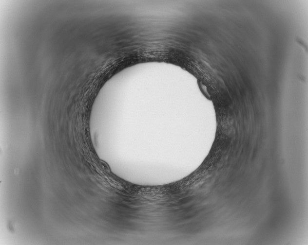 X0000094970817200712201220