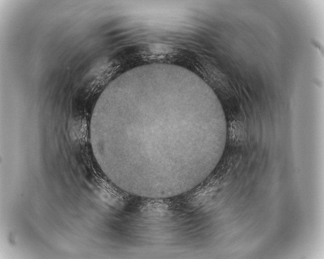 X0000094970820200712201220