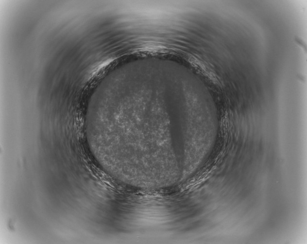 X0000094970822200712201220