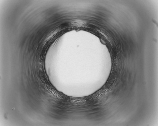 X0000094970823200712201220