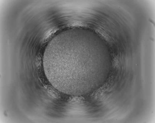 X0000094970824200712201220