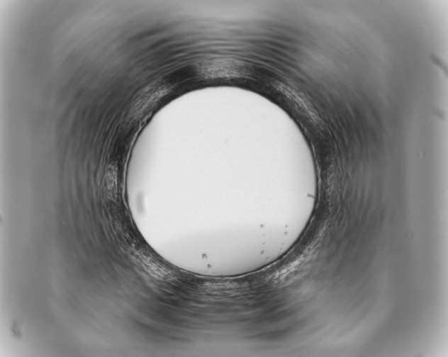 X0000094970825200712201220