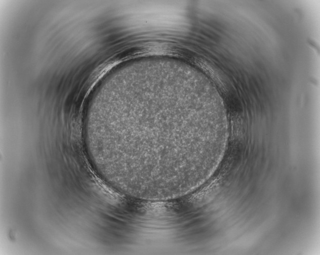 X0000094970828200712201220