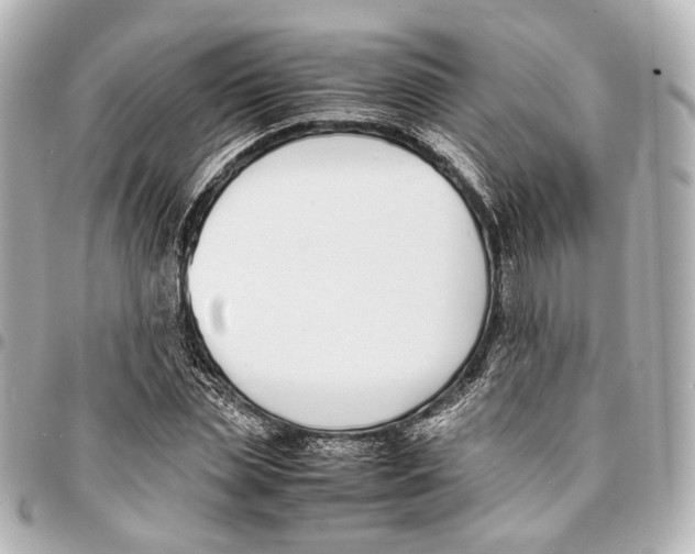 X0000094970829200712201221