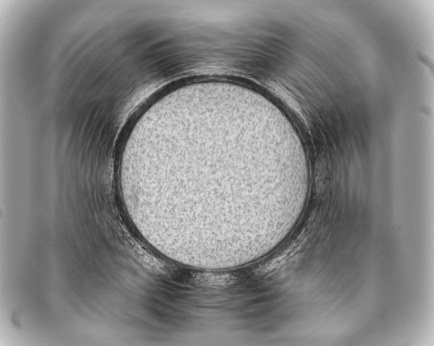 X0000094970831200712201221