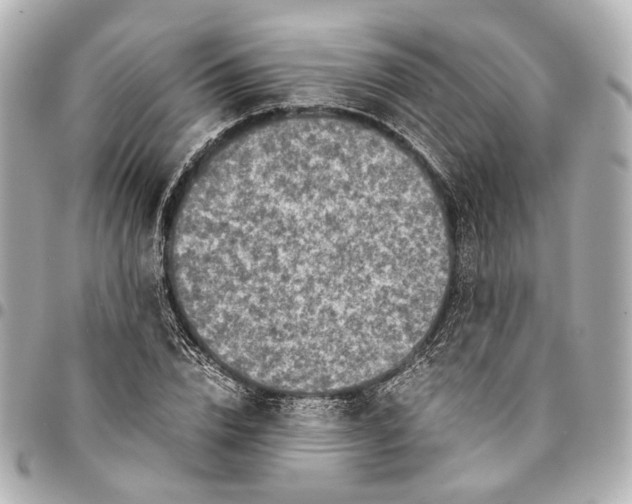 X0000094970832200712201221