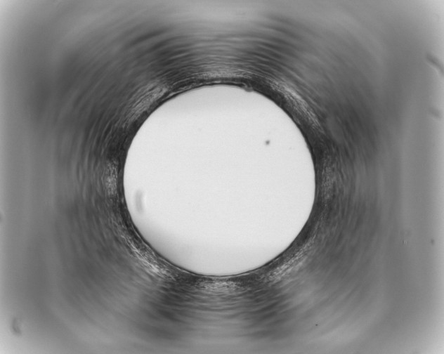 X0000094970833200712201221