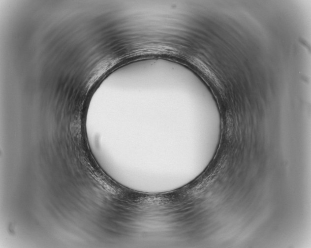 X0000094970834200712201221