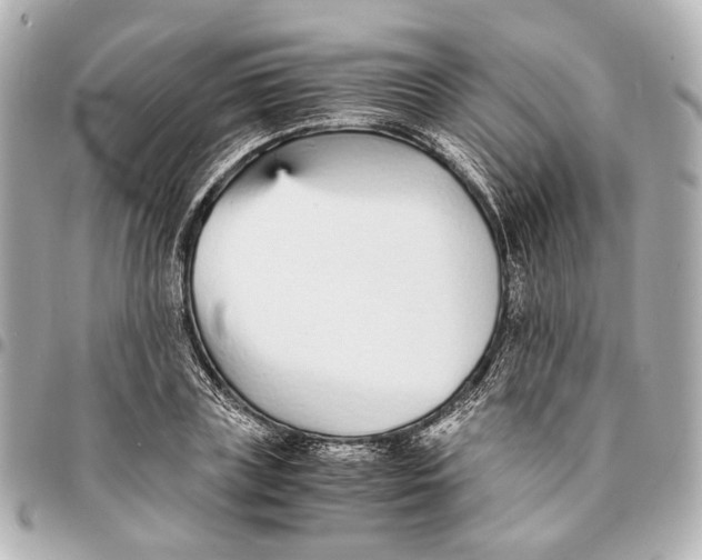 X0000094970835200712201221