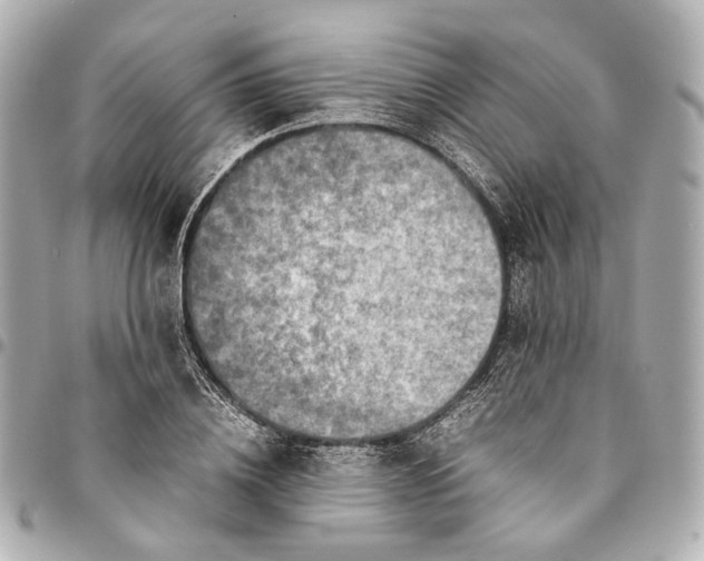 X0000094970836200712201221