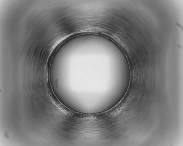 X0000094970838200712201221