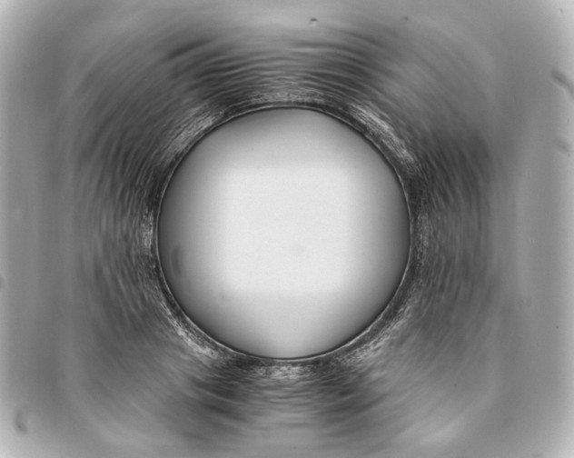 X0000094970841200712201221