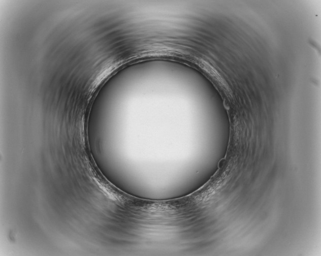 X0000094970842200712201221