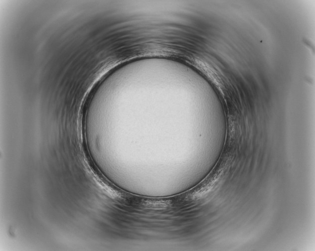 X0000094970843200712201221