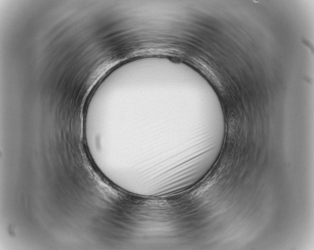 X0000094970844200712201221