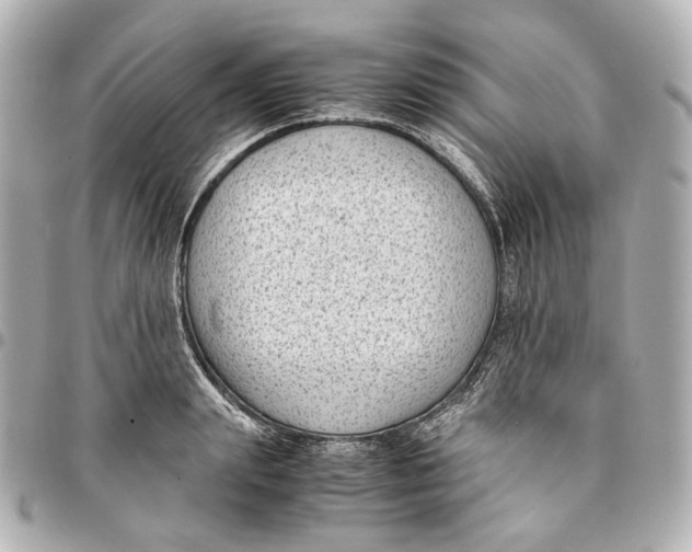 X0000094970847200712201221