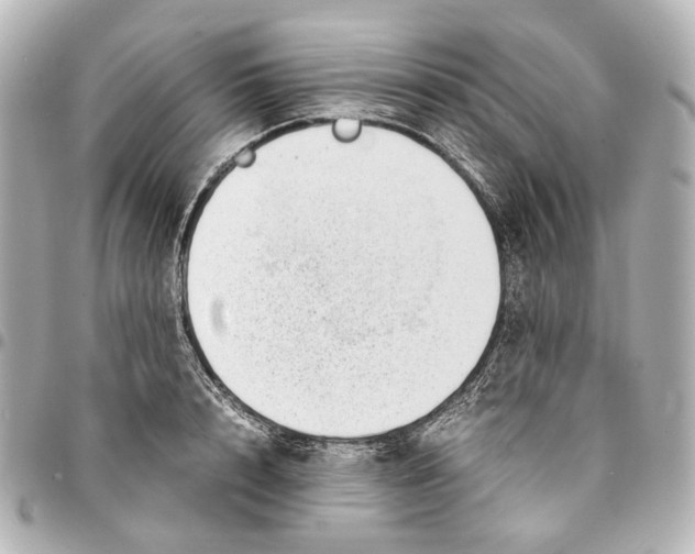 X0000094970848200712201221