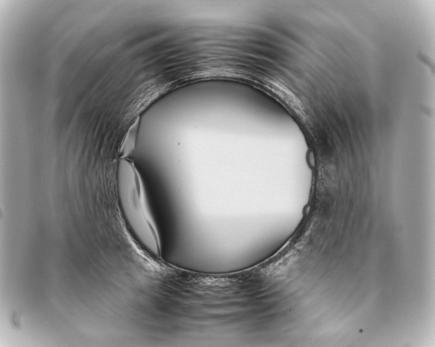 X0000094970849200712201221