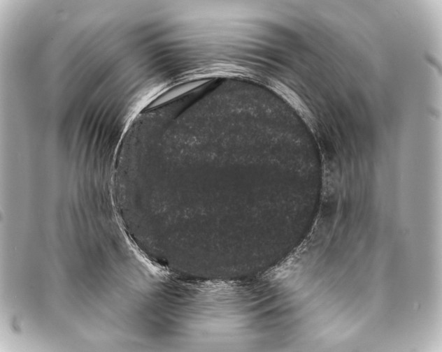 X0000094970850200712201221