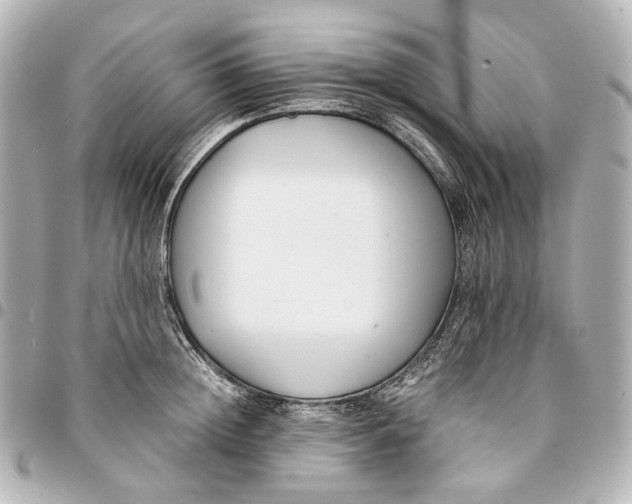 X0000094970852200712201221