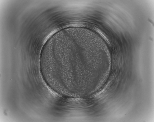 X0000094970853200712201221