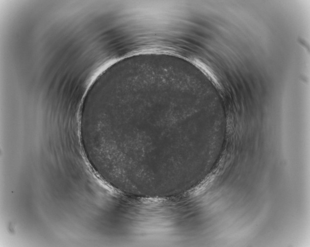 X0000094970854200712201221