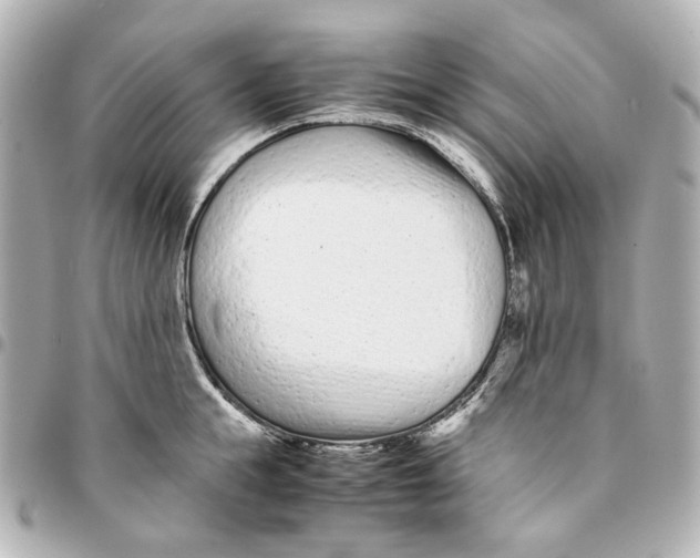 X0000094970855200712201221