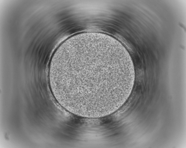 X0000094970856200712201221