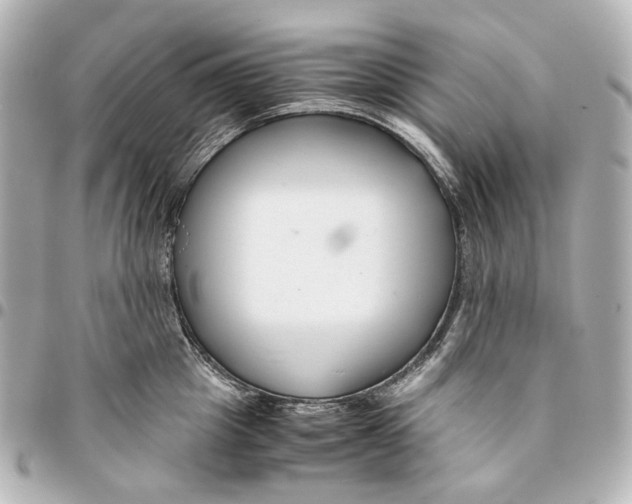 X0000094970857200712201221