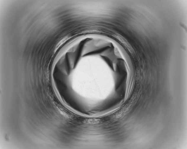 X0000094970858200712201221