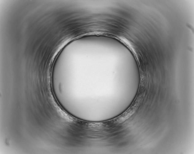 X0000094970859200712201221