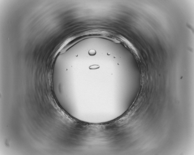 X0000094970860200712201221