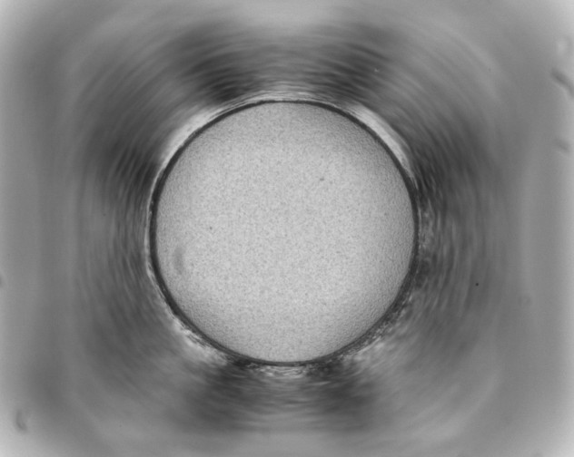 X0000094970861200712201221