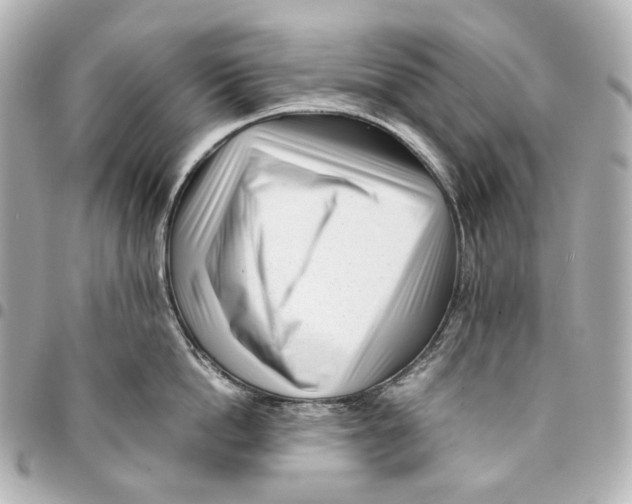 X0000094970862200712201221