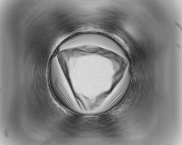 X0000094970863200712201221