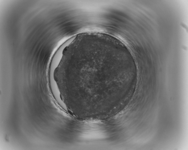 X0000094970864200712201221