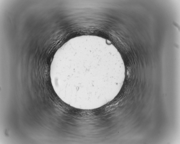 X0000094970867200712201220