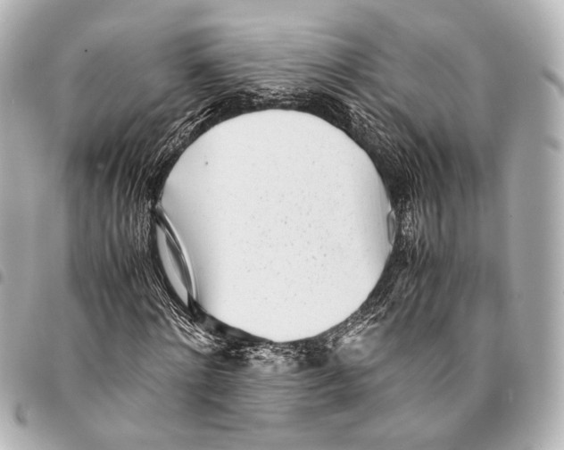 X0000094970868200712201220