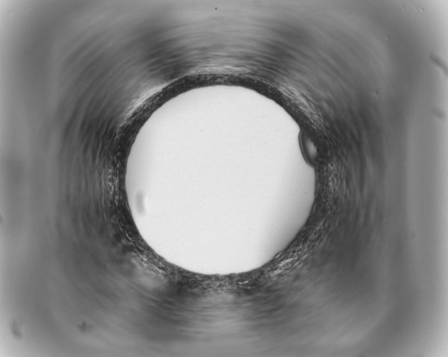 X0000094970872200712201220