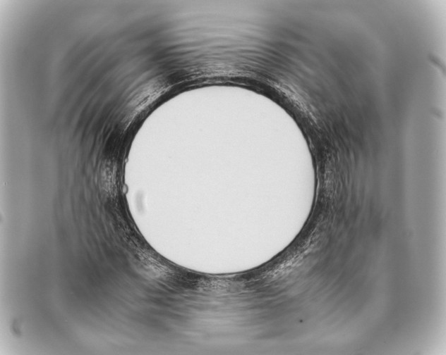 X0000094970873200712201220