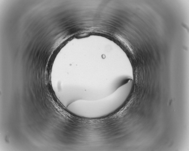 X0000094970876200712201220