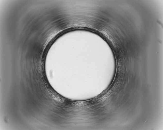 X0000094970879200712201220