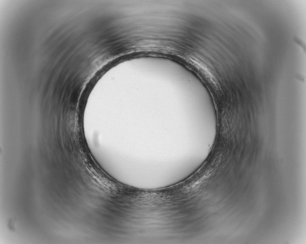 X0000094970880200712201220