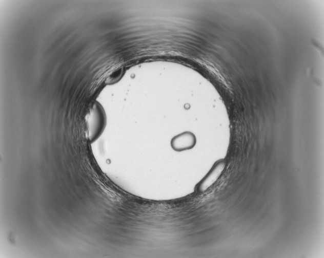 X0000094970881200712201220