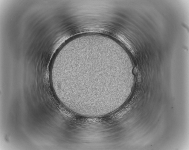 X0000094970883200712201220