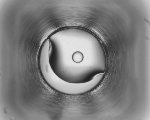 X0000094970885200712201220